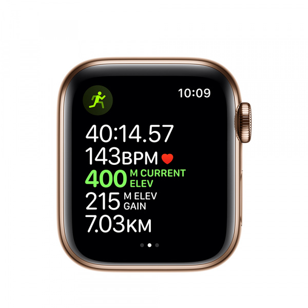 Apple Watch Series 5 GPS + Cellular 40mm Gold S. Steel Case Stone Sport Band - S/M & M/L  3